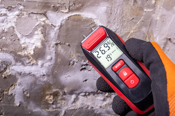 Best Attic Mold Remediation in Campbell, MO