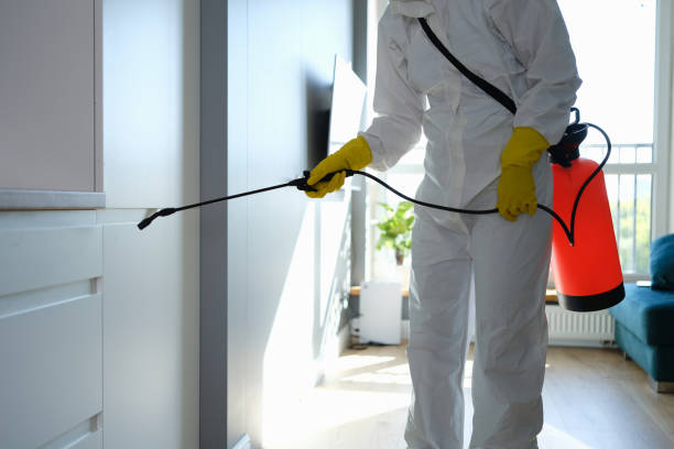 Campbell, MO Mold Remediation Company